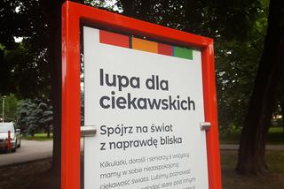 Leszno ma wyspę! W parku przy ul. Berwińskich powstała Wyspa Naukowa