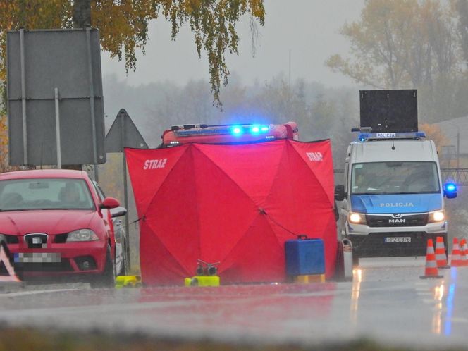 Zwłoki na drodze w Tarczynie. Policja szuka świadków