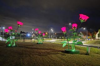 Świecące róże w Kostrzynie