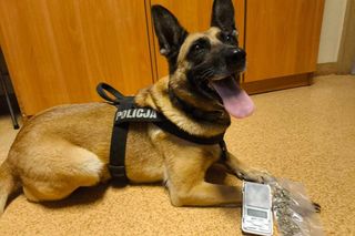 Policjanci dał dom psim emerytom