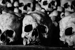 Ludzkie kości na Bulwarze Filadelfijskim! Szczątki wymieszane z gruzem