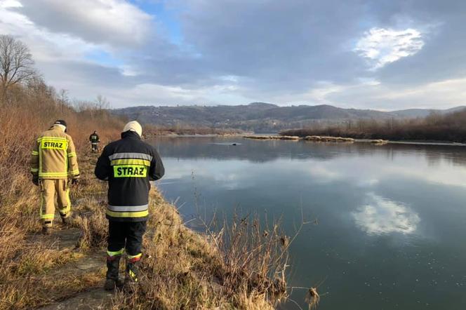 Ciało mężczyzny odnalezione w Dunajcu. To poszukiwany 83-latek