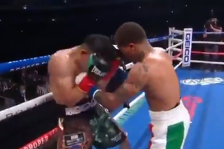 Brutalny nokaut w walce Gervonta Davis - Leo Santa Cruz