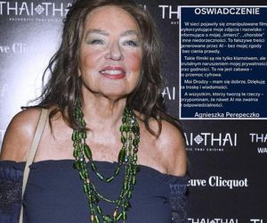 Agnieszka Perepeczko ofiarą obrzydliwego ataku! To przemoc cyfrowa!
