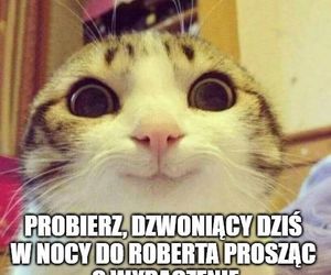 Finlandia - Polska: MEMY