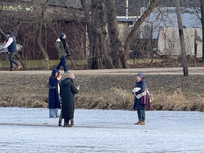 Skrajna nieodpowiedzialność. Spacerują po płytkim lodzie z dziećmi i psami. Dramat na Pradze-Południe w Warszawie