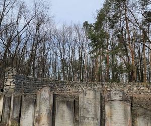 Prace archeologiczne na cmentarzu żydowskim na Bródnie (marzec 2025)