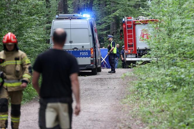 Kobieta przygnieciona przez drzewo 