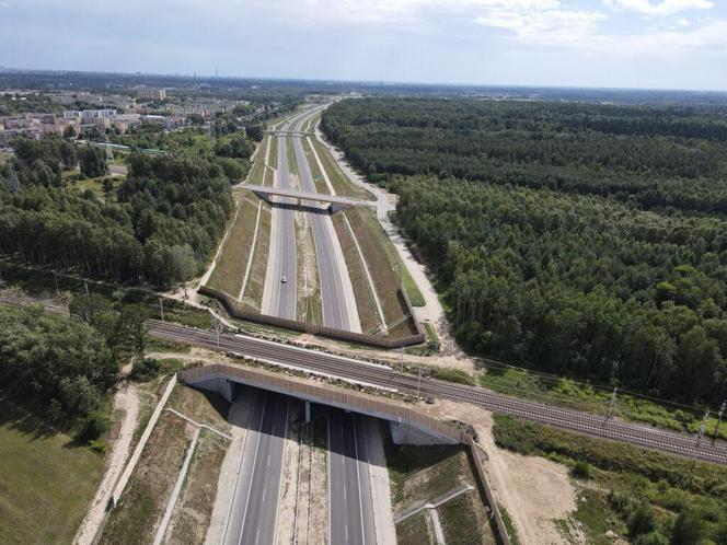 Ring obwodnic wokół Łodzi S14