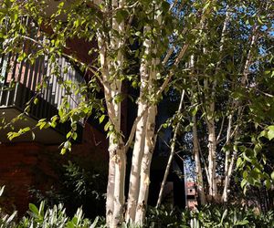 Osiedle Riverview w Gdańsku