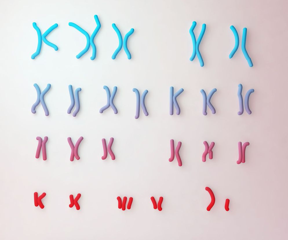 Prawidłowy kariotyp człowieka składa się z 46 chromosomów, z których 23 są odziedziczone od matki, a 23 od ojca.