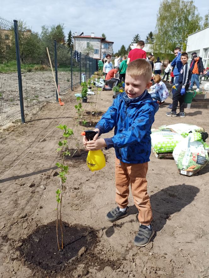 W czynie społecznym odpicowali ogród przy nowej szkole w Iławie!