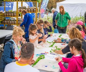 Wielki piknik kwietny finał 41. edycji konkursu „Warszawa w kwiatach”  