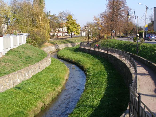 Tarnów: Pijesz alkohol w plenerze w tych miejscach? Mandat masz jak w banku!