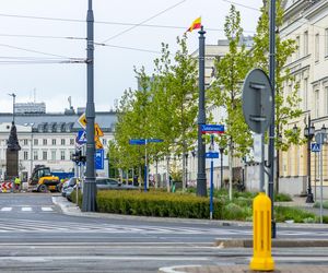 Sadzenie zieleni na placu Bankowym w maju 2025 r.