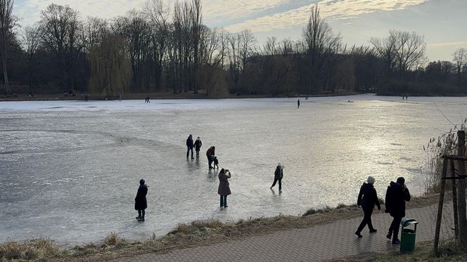 Skrajna nieodpowiedzialność. Spacerują po płytkim lodzie z dziećmi i psami. Dramat na Pradze-Południe w Warszawie