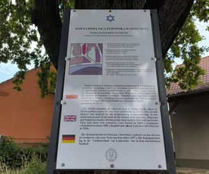 Lapidarium i stary cmentarz żydowski w Osiecznej
