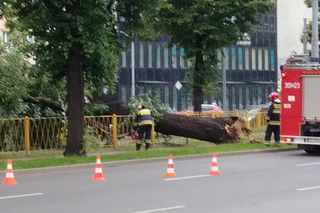 Załamanie pogody w Szczecinie. Są już pierwsze szkody