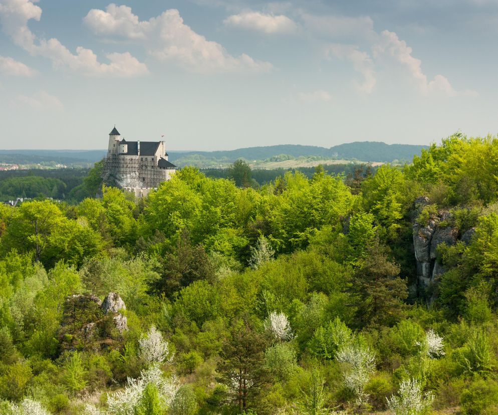 To najbrzydszy zamek w Śląskiem. Wybrała go AI