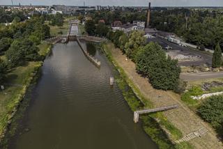 Katastrofa ekologiczna na Odrze 