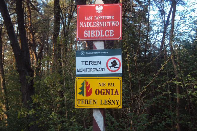 Lasy Nadleśnictwo Siedlce tablica