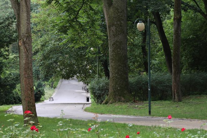 Ogród Saski w Lublinie w wakacyjny poranek 2025