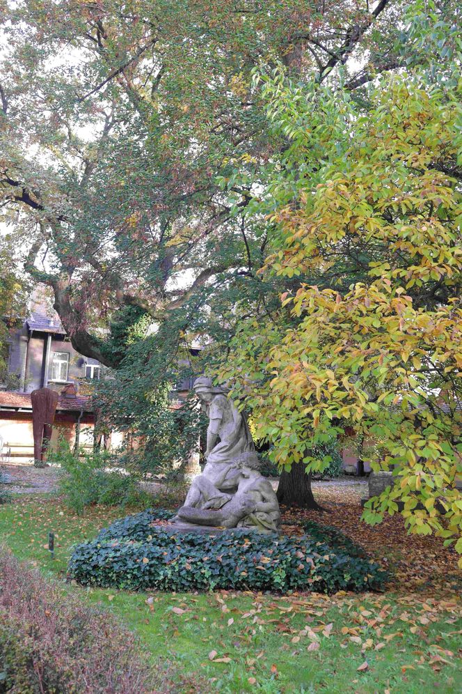 ogród w Muzeum im. Emeryka Hutten-Czapskiego