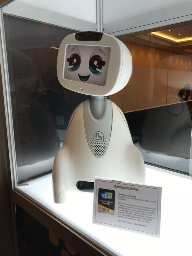 Robot Buddy. Dom inteligentny na targach CES 2018