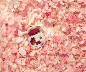 Symfonia zmysłów: perfumy damskie łączące owocową świeżość, kwiatową elegancję i drzewną głębię