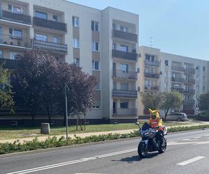 Winobraniowa parada motocyklowa przejechała ulicami Zielonej Góry