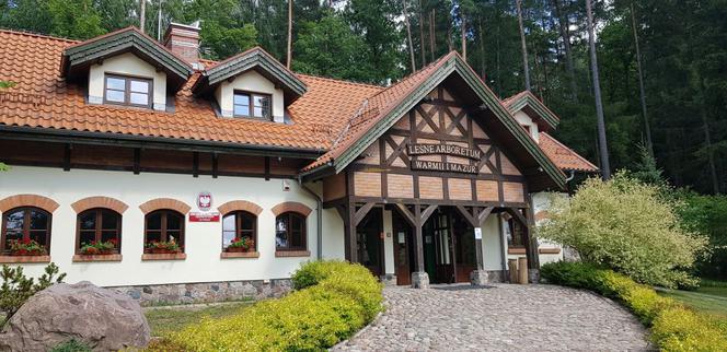 Leśne Arboretum Warmii i Mazur w Kudypach