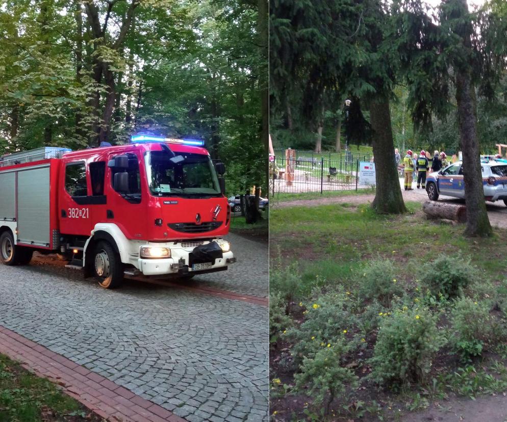 Ktoś rozlał śmierdzącą substancję w Parku Szwedzkim w Szczawnie-Zdroju. Zamknięto plac zabaw