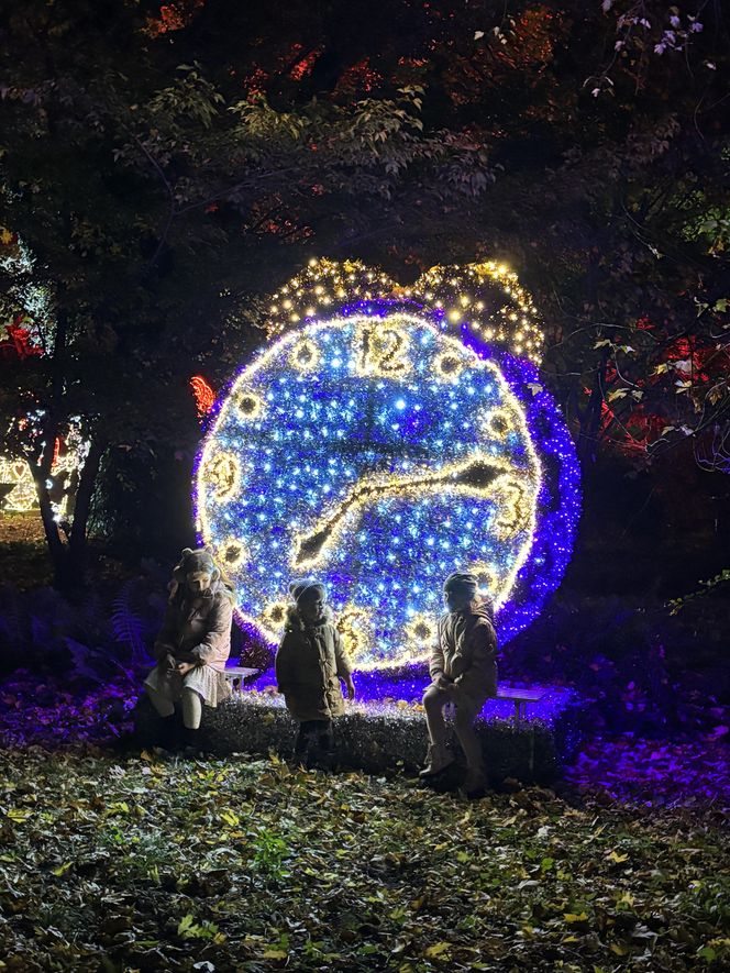 Otwarcie Lumina Parku w Poznaniu. Tegoroczne świecące miasteczko robi fenomenalne wrażenie!