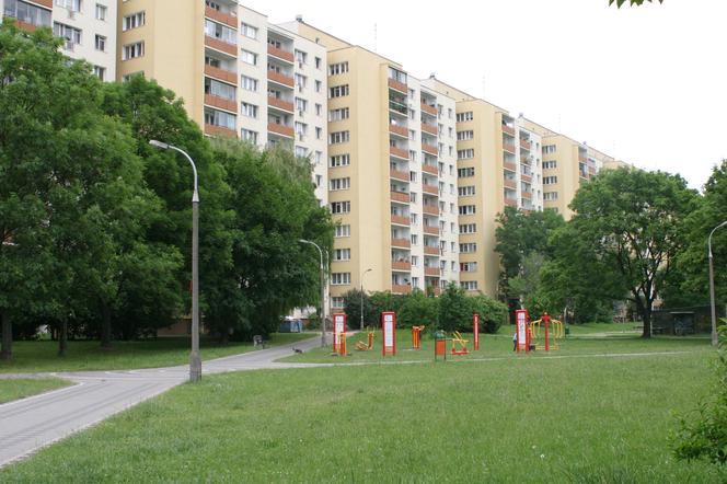 Psychopata morduje psy