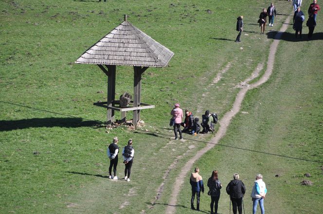 "Świętokrzyska Kalwaria" - droga z Nowej Słupi na Święty Krzyż