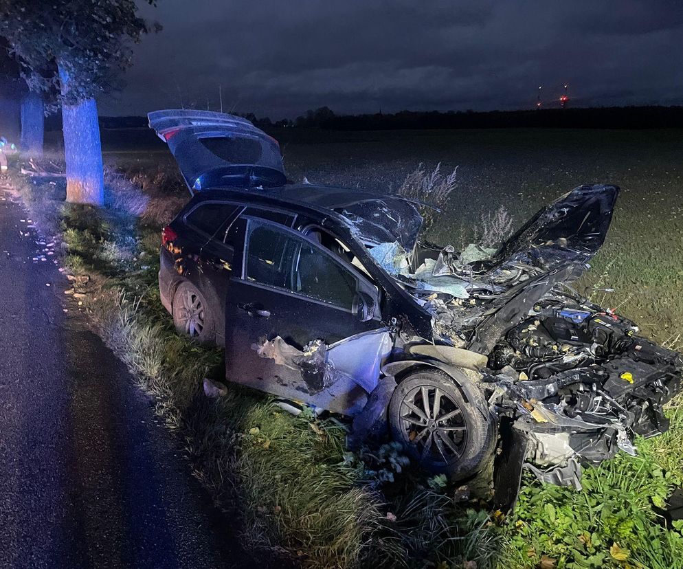 Wichura zmiotła drzewo na samochód. Ojciec i córka poszkodowani