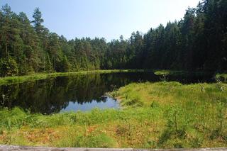 Wigierski Park Narodowy. To bezcenny obszar podlaskiej natury