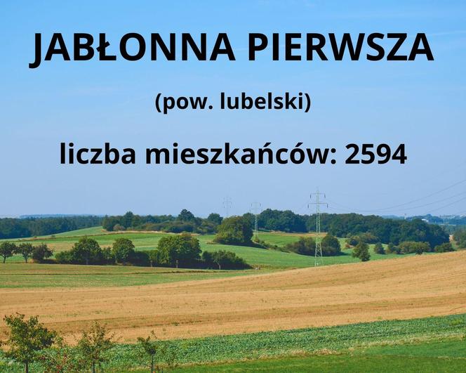 Ranking największych wsi w woj. lubelskim. W tych 10 miejscowościach mieszka najwięcej osób!