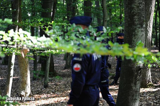 Torzym: Kierowca zaginął na trasie, odnaleziony został... w lesie!