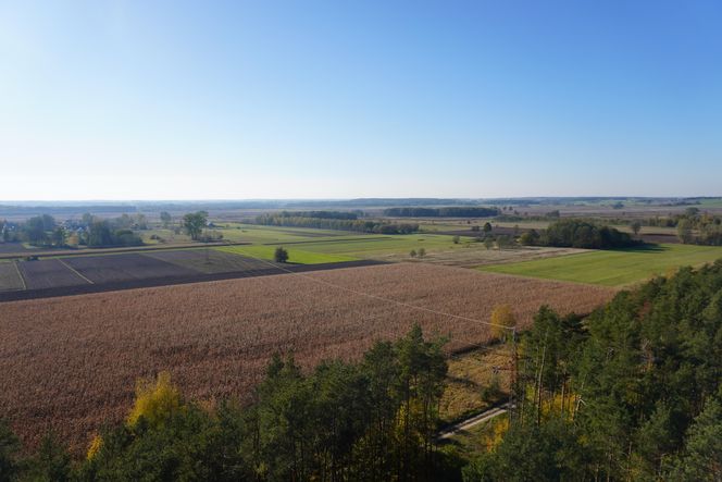 Wieża widokowa w Uhowie