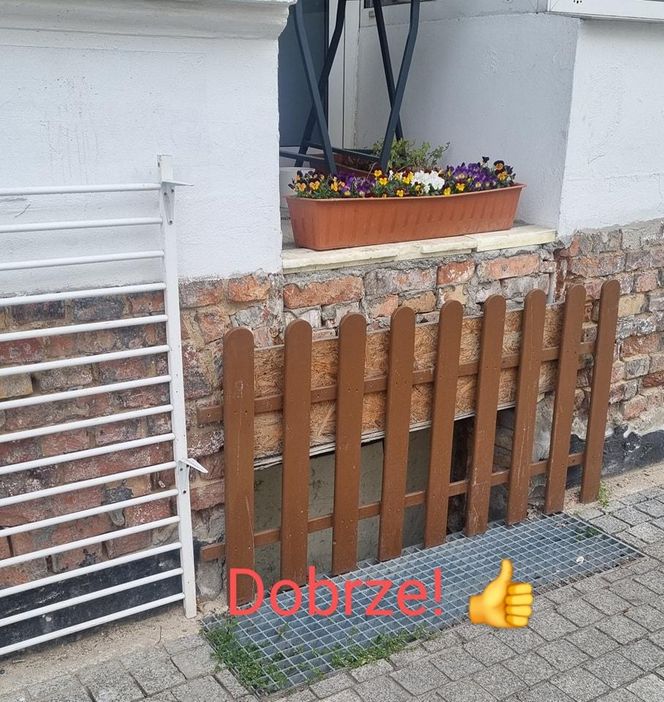 Poznańska kawiarnia z nakazem usunięcia donic z roślinnością sprzed lokalu