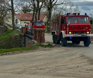 Tragiczny wypadek pod Dobrzykami. Mateusz zginął 400 metrów od domu