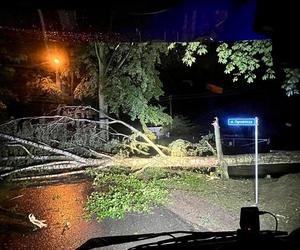 Burzowa noc w Śląskiem. Blisko 10 tys. osób bez prądu. Piorun popalił dom 