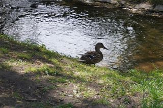W pierwszy weekend wiosny pogoda w Świętokrzyskiem może nas zaskoczyć