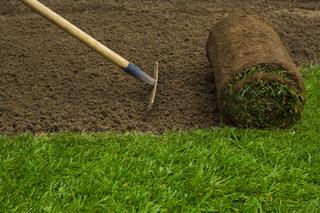 Zakładanie trawnika: jaki wybrać sposób zakładania trawnika