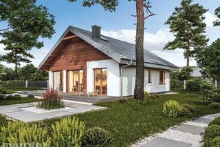 C333p Miarodajny wariant XV - wizualizacje, plany, rysunek