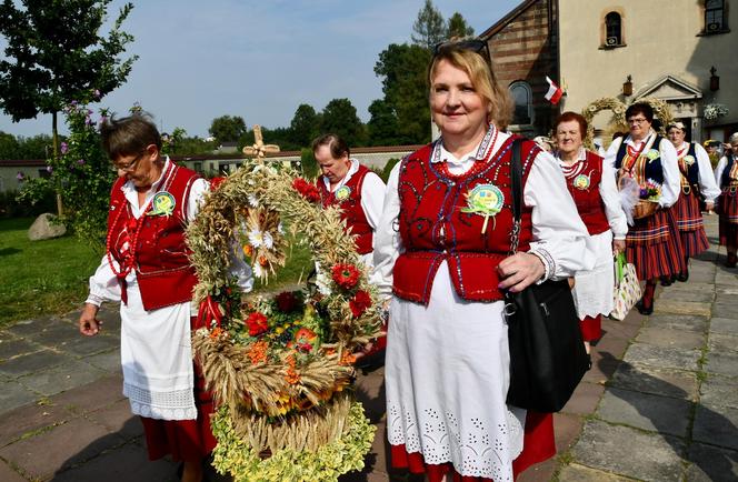 Dożynki 2024 w powiecie starachowickim. W Wąchocku dożynkowe wieńce, korowód i przysmaki