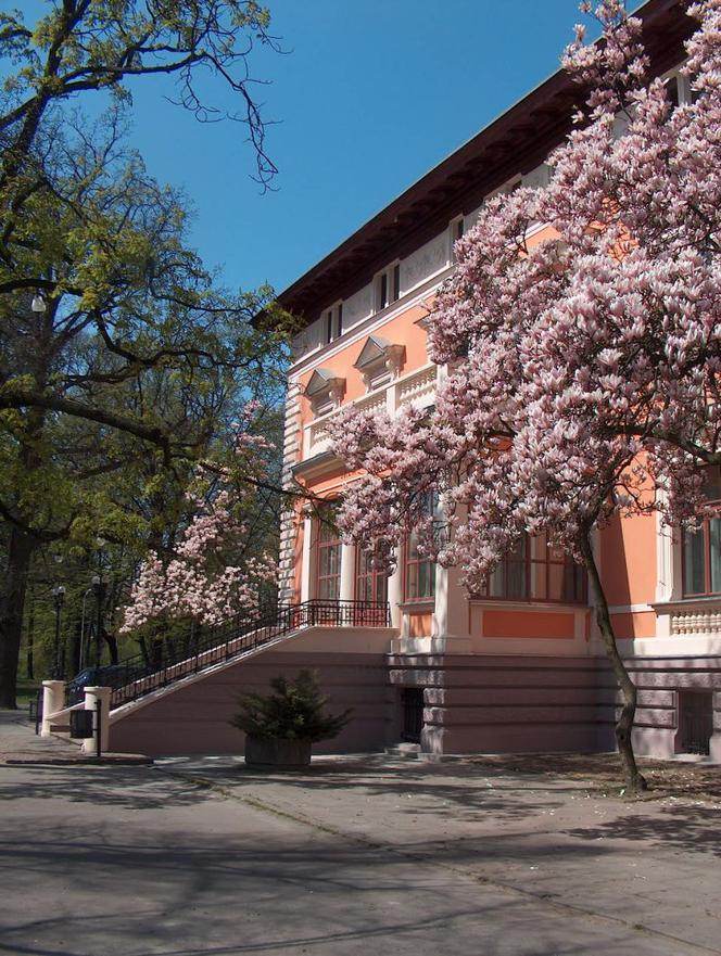 Pałac Ślubów w dawnej willi Ernsta Leonhardta