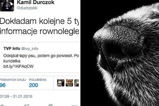 Ktoś zmasakrował psa, sprawcy szuka cała Polska. A Kamil Durczok wyznacza nagrodę - 5 tys. zł!