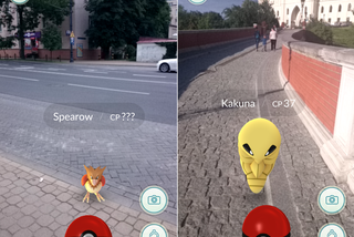 Pokemony opanowały Lublin